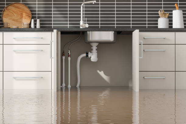 Best Professional water damage repair  in Nags Head, NC