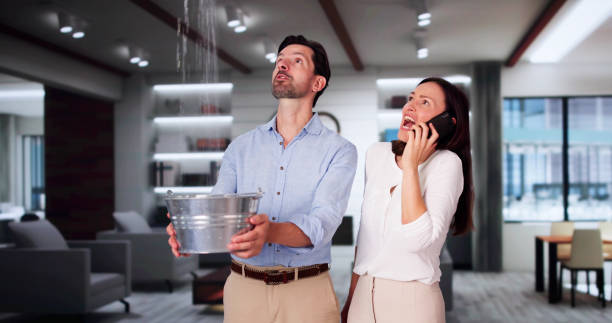 Best Carpet water damage restoration  in Nags Head, NC